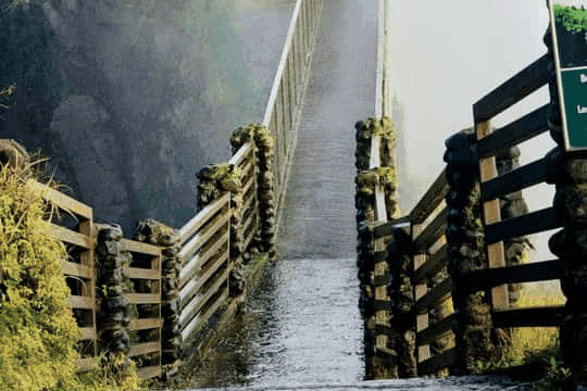 Falls & Livingstone tour