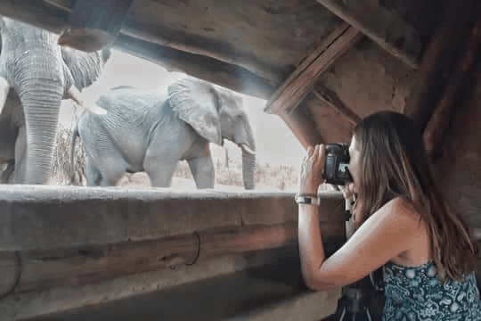 Siduli Hide wildlife viewing